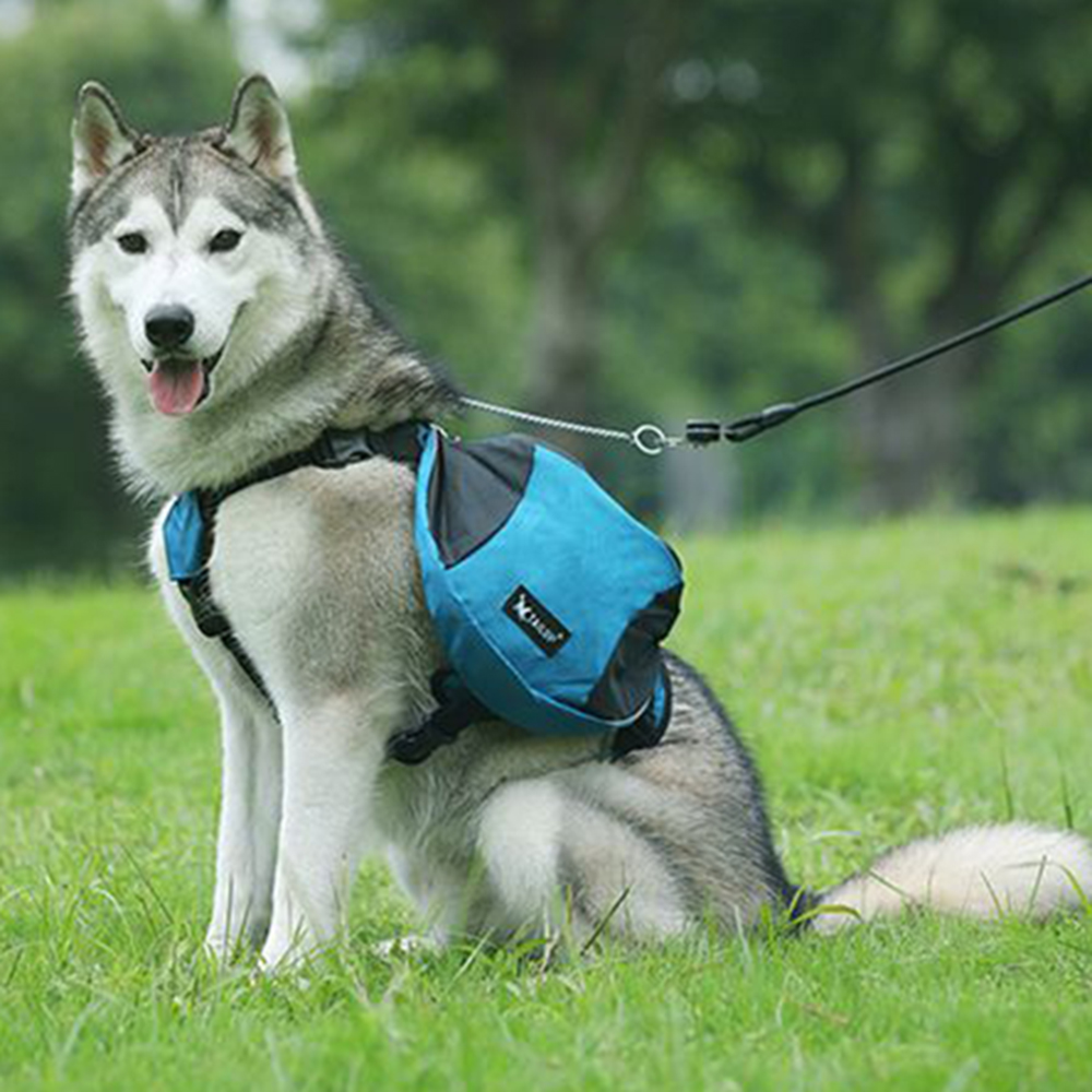 Mochila de entrenamiento para  - Crossfit Weight Vest reseña y precio