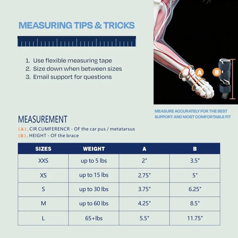 Soporte para Perros con Hipere - Ankle Mobility Band reseña y precio